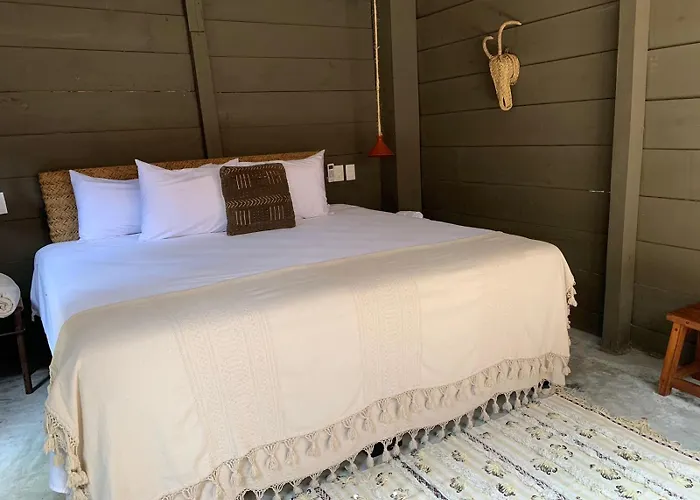 Phoenix Tulum