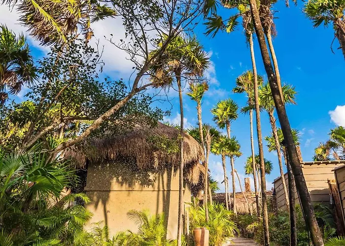 Phoenix * Tulum