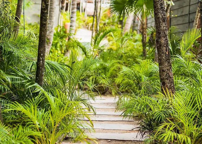 Phoenix Tulum